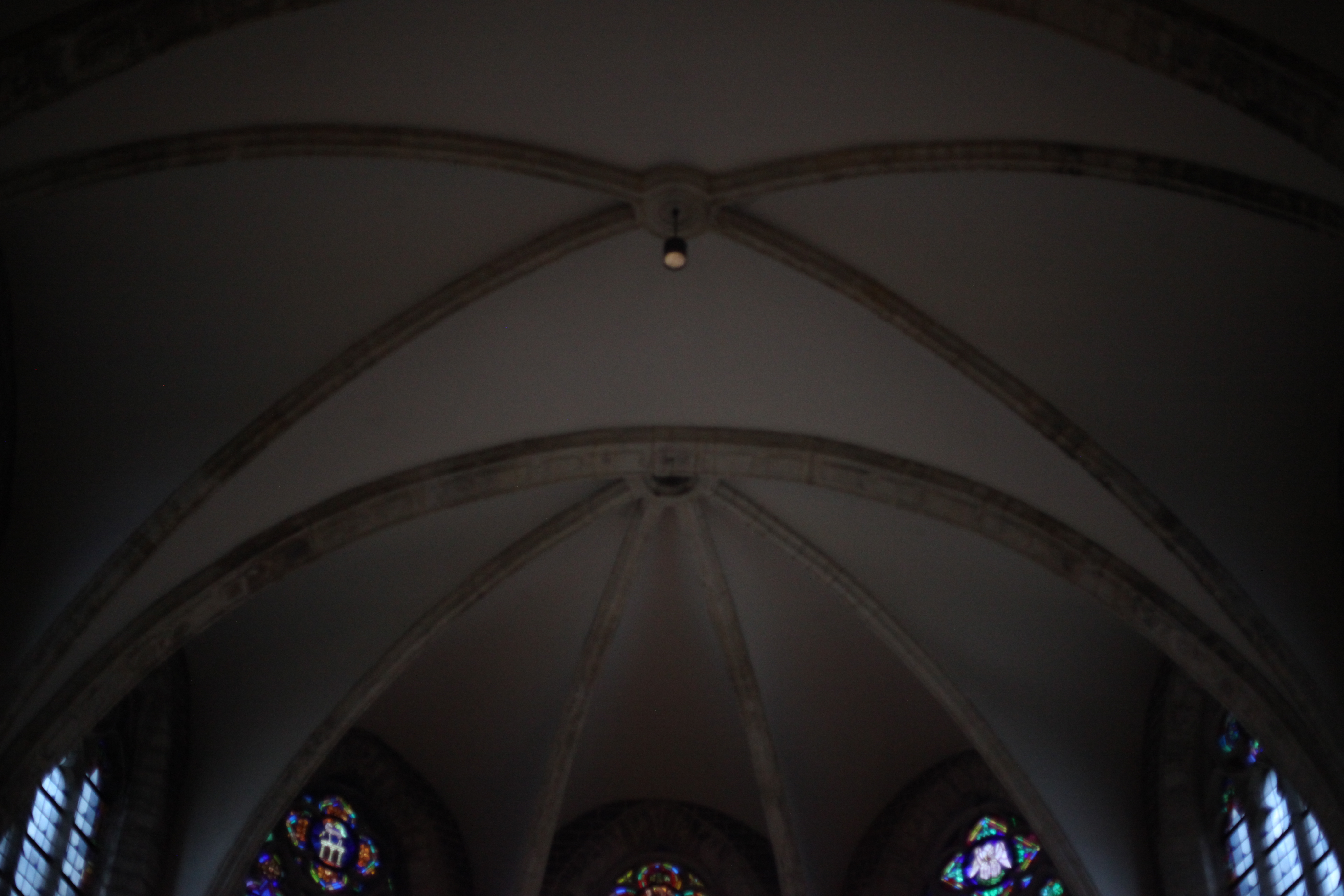 Deep Lateralist manifesto — ribbed vault of Abbaye de la Cambre