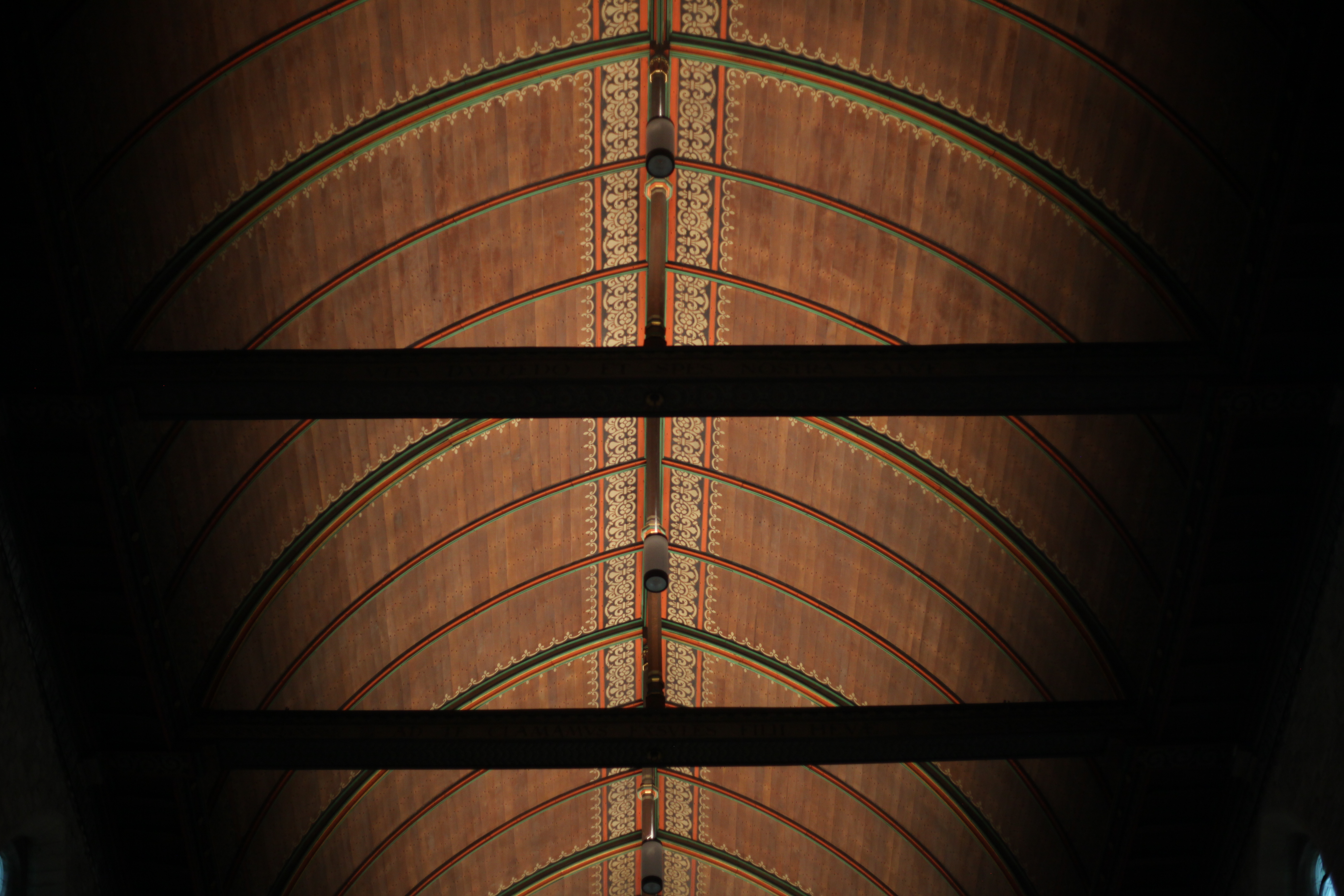 Painted wooden barrel vault, Abbaye de la Cambre, Brussels — Deep Lateralist
